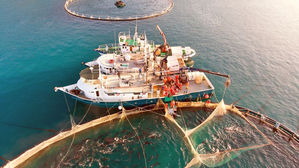 Tvrtka s Malte novi je vlasnik Kali tune