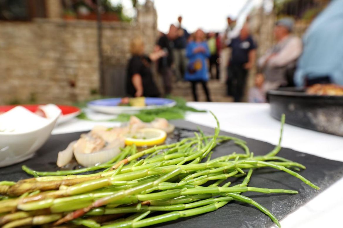 MORSKA ŠPAROGA Delicija kraljevskog Nina