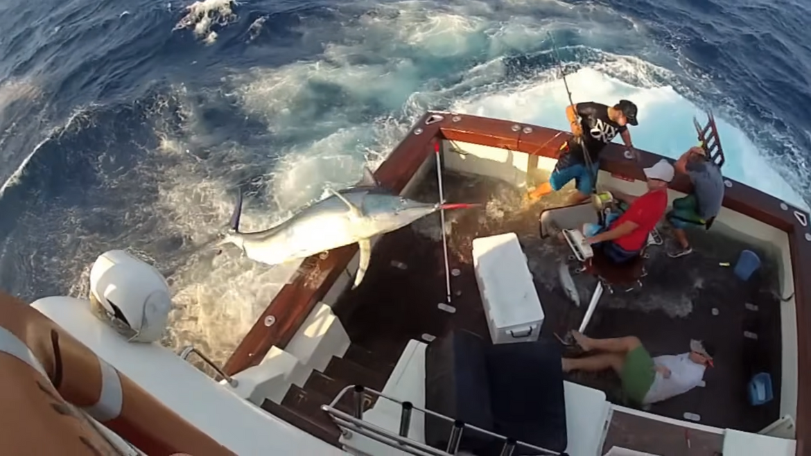 VIDEO Kako lov na veliku ribu može izazvati kaos na brodu!