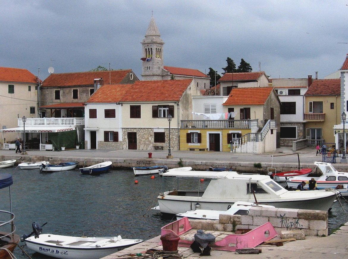 Pakoštanima vreba neobičan kradljivac - Čupa nove sadnice cvijeća i odnosi ih