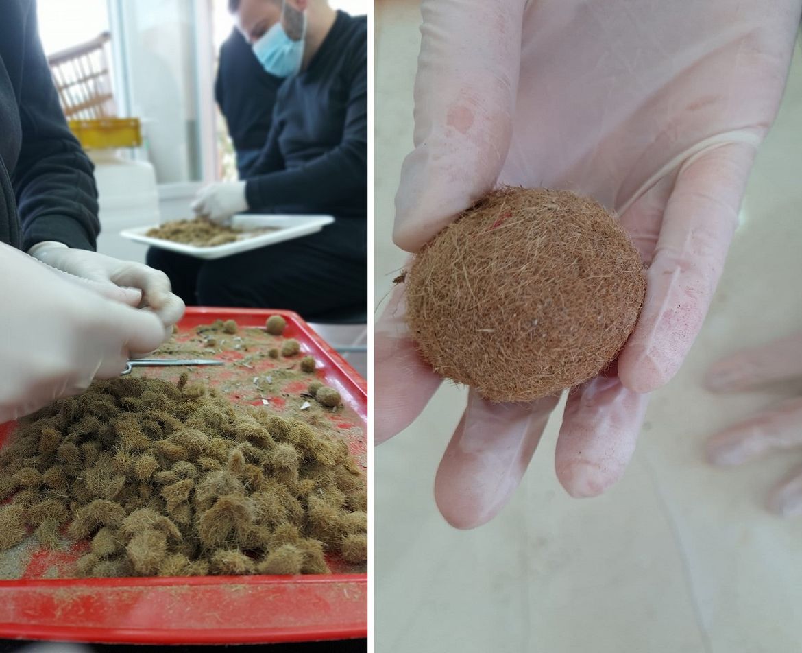 Crnogorci istražuju kako ostatke morske trave i školjaka iskoristiti za kompozite u brodogradnji