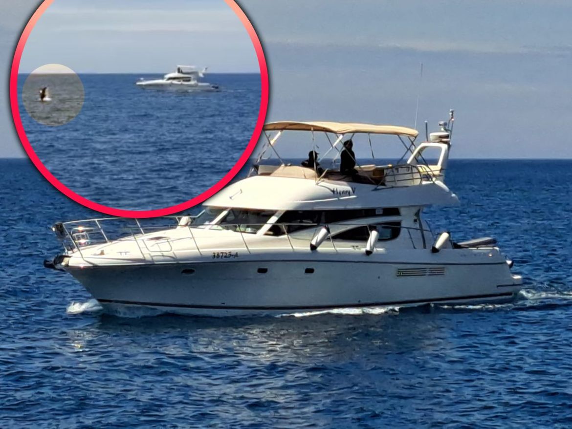 VIDEO Iživljavanje nad dupinima u trogirskom akvatoriju - Za ovo se može i u zatvor!