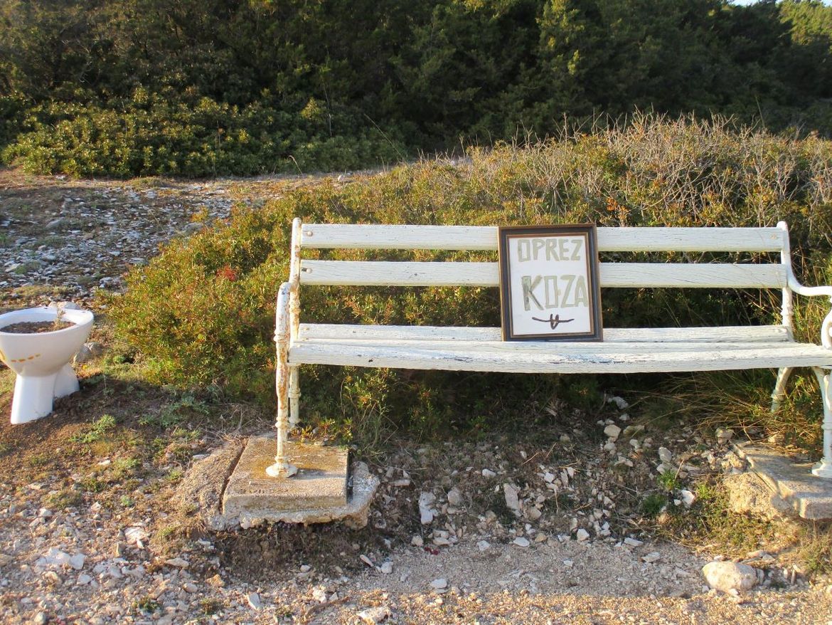 Lovci na Unijama ustrijelili velik broj podivljalih domaćih koza