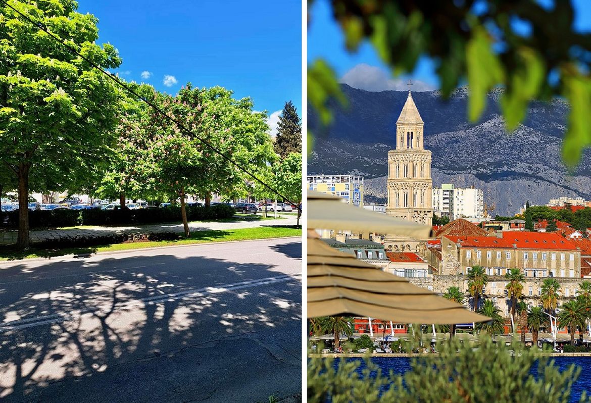 URBANA ŠUMA Split planira u gradu posaditi 722 nova stabla i postaviti 10 slavina s pitkom vodom!