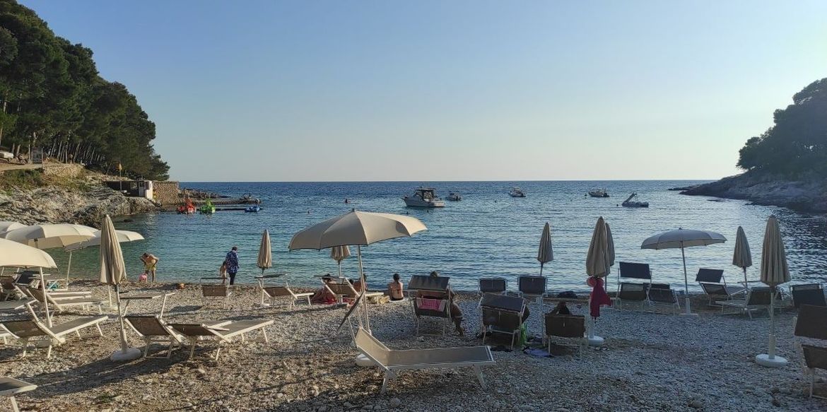 SPAVAJU LI PO ŠUMAMA? HTZ kaže da turisti dolaze rekordno, iznajmljivači tvrde da gostiju ima 4 puta manje!