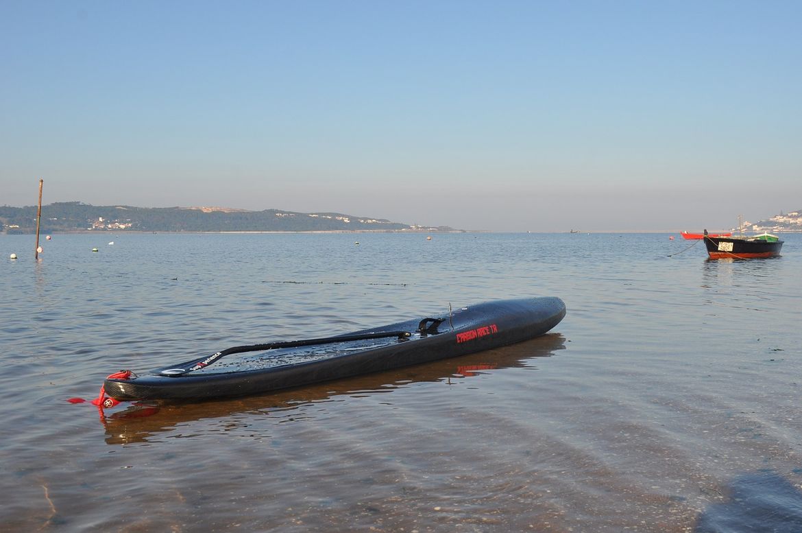 Mlatio psa na istarskoj plaži, napao i policajce, pa pokušao pobjeći na dasci