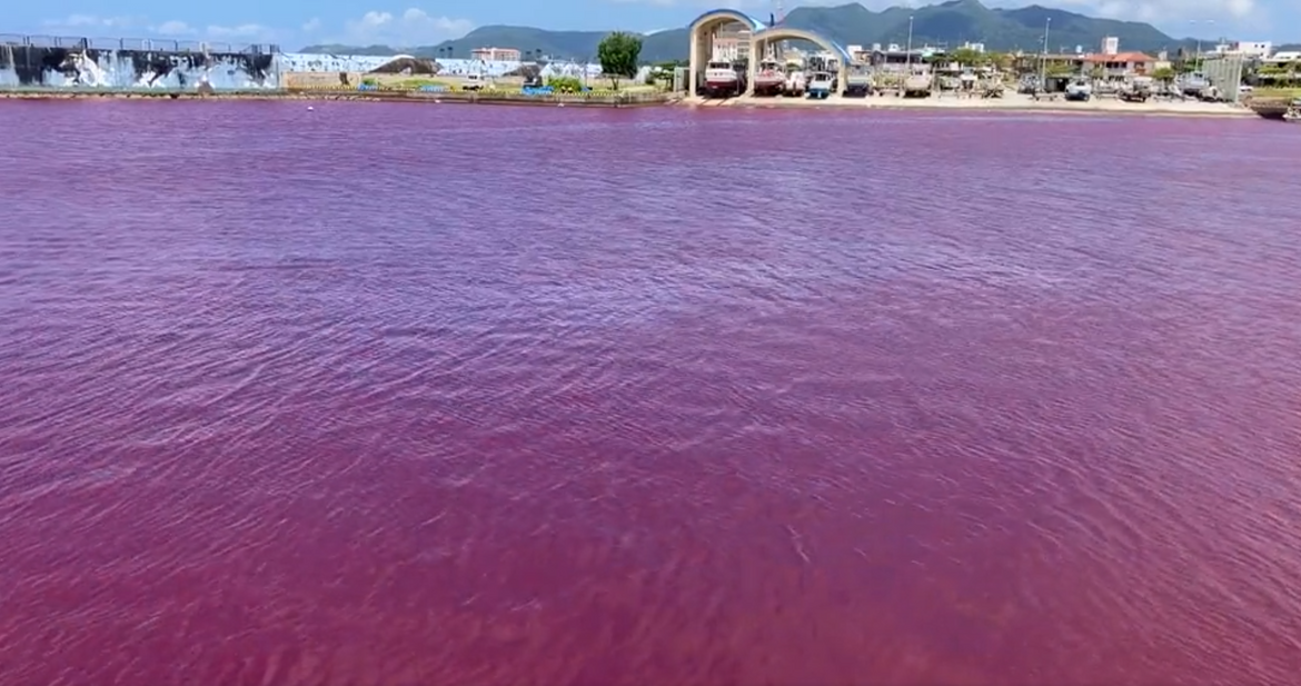 VIDEO Kristalno čisto more preko noći poprimilo 'krvavu, zlokobno crvenu' boju