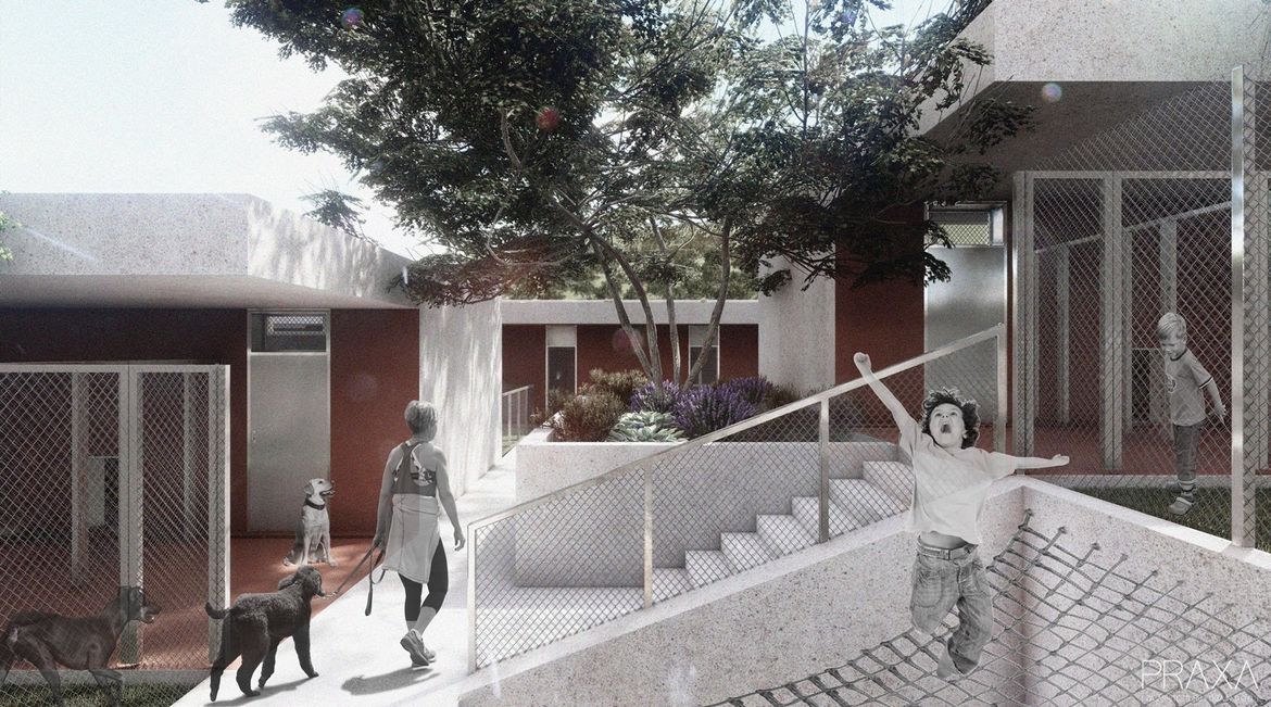 Dubrovnik rješava dugogodišnji problem nezbrinutih životinja