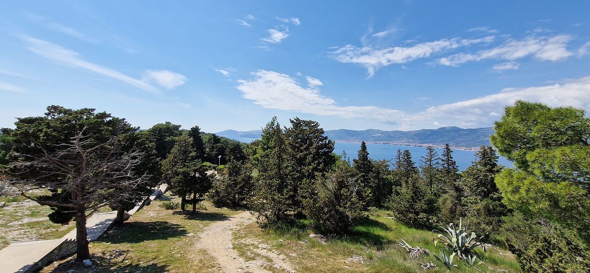 Srušilo se stablo na splitskom Marjanu, zatvoren promet