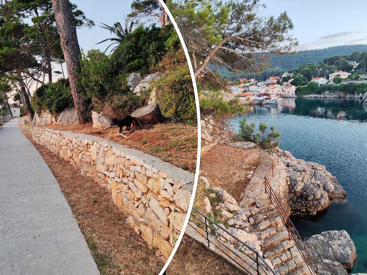 Kako to da se na obali ne ruše stabla uslijed velikih naleta vjetra? - Evo što kaže stručnjak