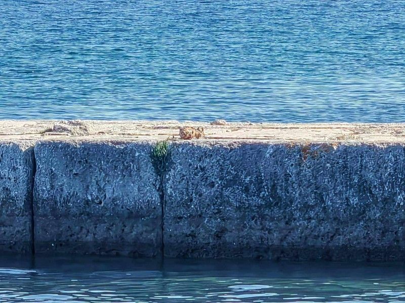 U Luci Štinjan pronađena granata, plaža evakuirana