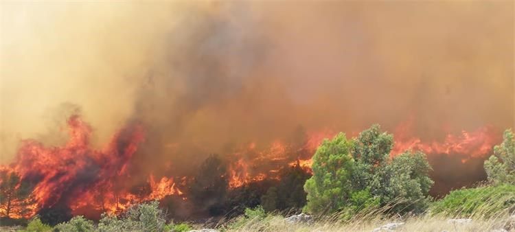 OSVRT JURICE GAŠPARA Krivci za požare su ispred svake kamere, svakog turista i vatrogasca, prepoznajete li ih?