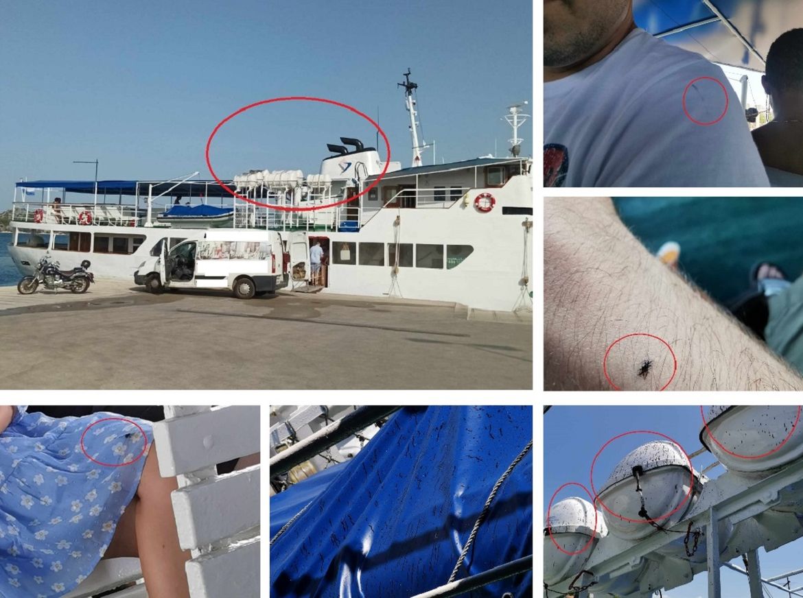 FOTO Jadrolinijina Postira putnike isprskala motornim uljem: "Moraju kupiti novu garderobu, a isprljao je i obalu!"