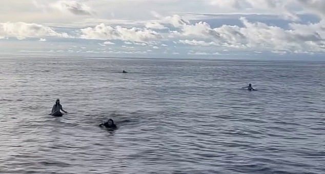 Spašena grupa mladih Australaca koji su 36 sati proveli izgubljeni na moru