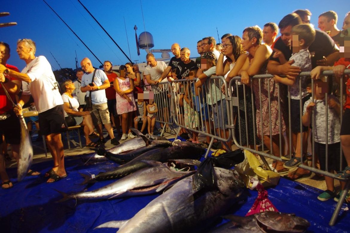 Dinamičan BIG OM dan uljepšala tuna od 90 kilograma