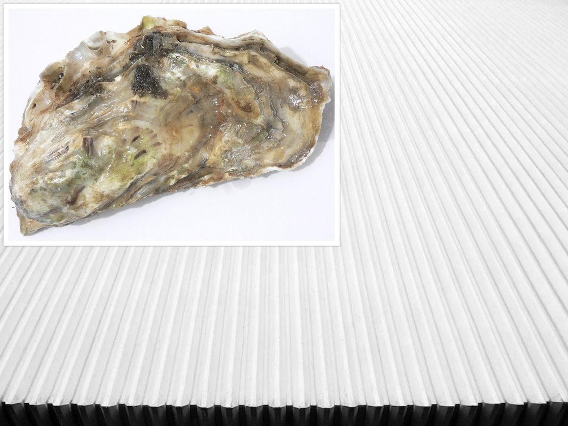 Francuzi masovno boje krovove u boju koju proizvode od kamenica - I Barcelona kreće s ovom metodom