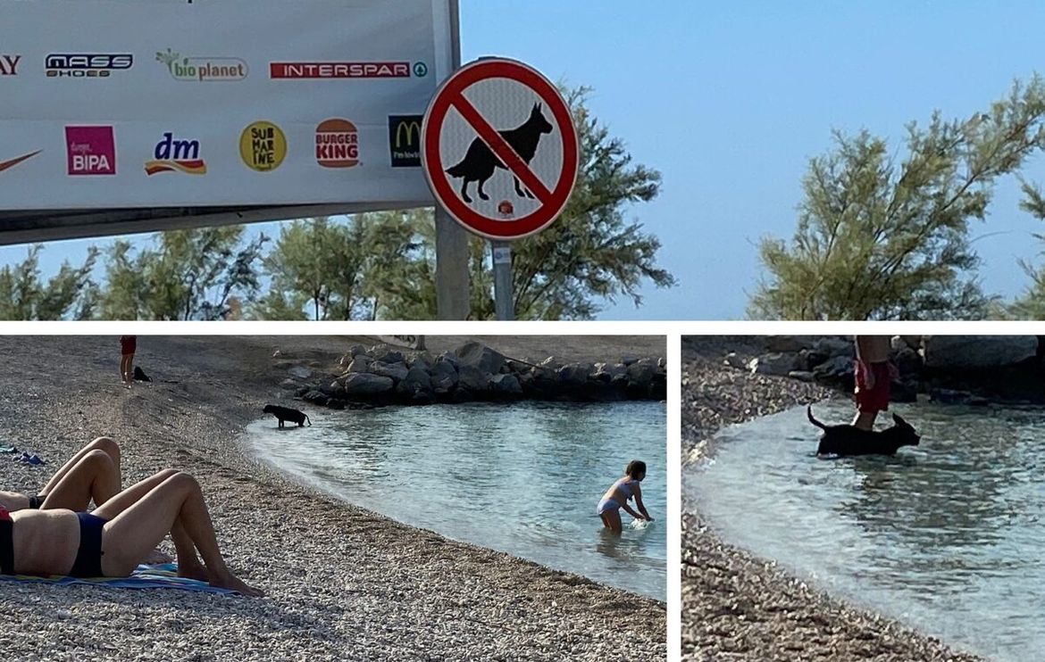 Postoje dva znaka za zabranu kupanja psima na splitskoj plaži, a vlasnik doveo pse među djecu