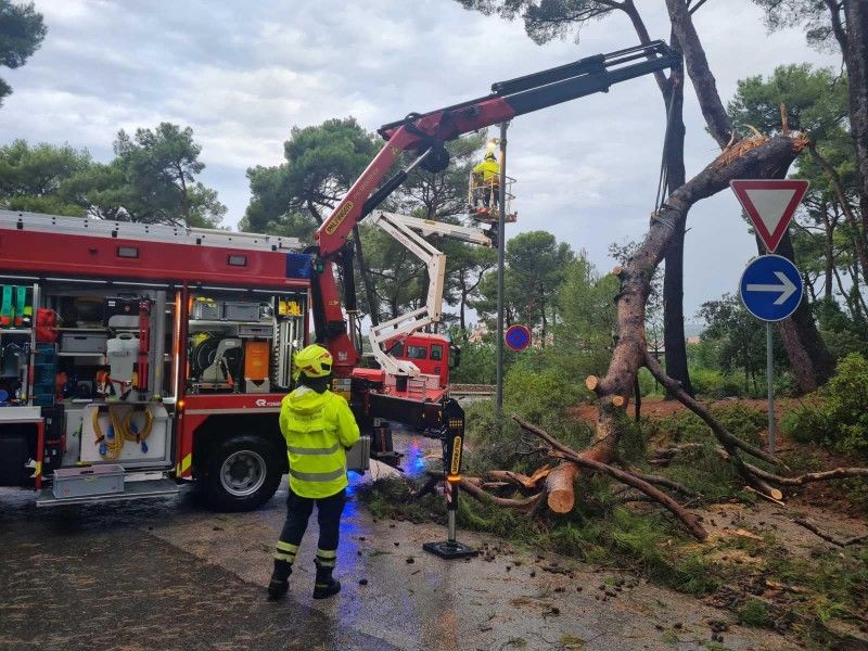 VIDEO U Rovinju vjetar rušio stabla, u Vodnjanu zaplivala glavna cesta