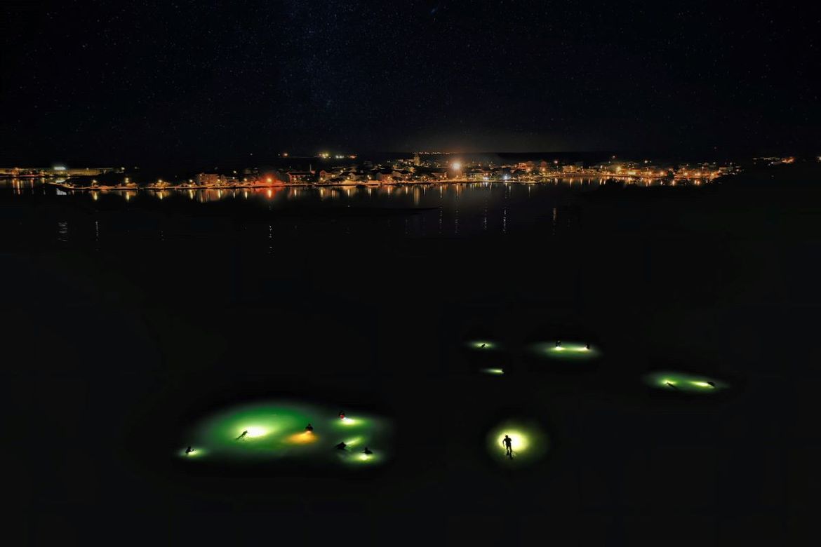 Ronioci u Ninu tijekom noćnog ronjenja nisu pronašli nijednu novu živu perisku, ali su otkrili nešto jako zanimljivo!