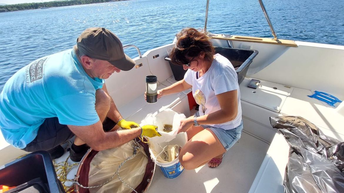 Je li pronađena mlađ plemenite periske? Stručnjaci nakon dojave pohitali u Šibenik