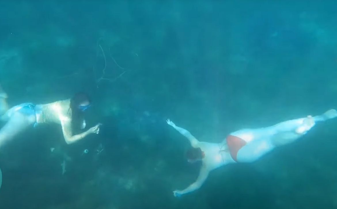 VIDEO MerAdria "Sirene" očistile podmorje Lošinja