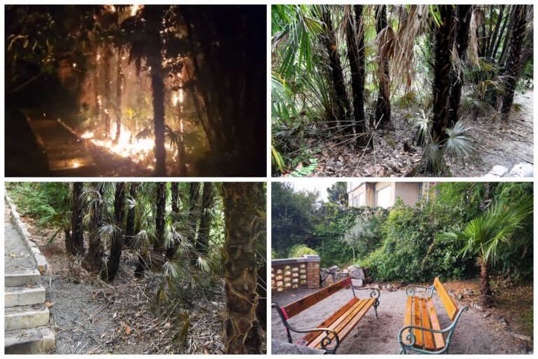 Tko je upalio i uništio poznate opatijske palme?