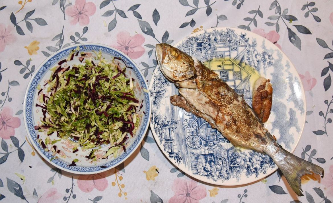 ZEMLJA GURMANIJA - Strijelka i tress brassicaei