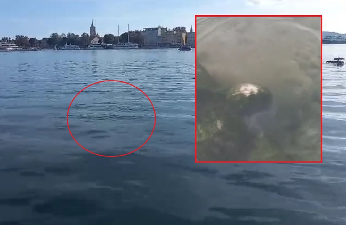 VIDEO Dok zadarski gradonačelnik boravi u New Yorku, grad mu ponovno okupan fekalijama!