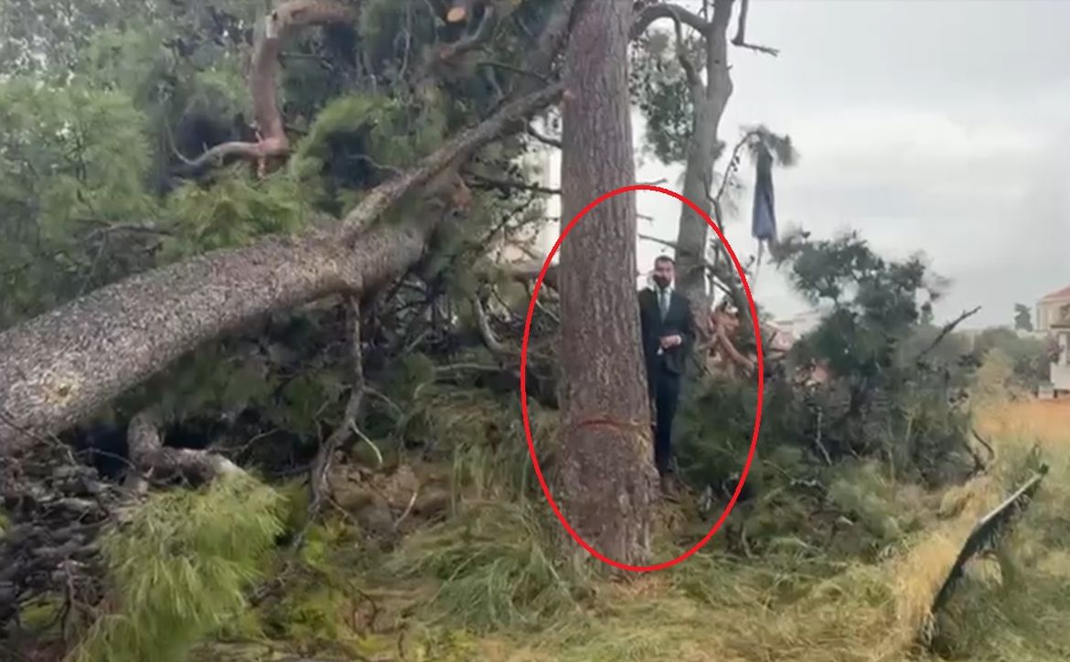 Dogradonačelnik Splita stao ispod zaštićenog stabla u Splitu: "Neka padne po meni!" - Policija: "Ne smijemo se miješati"