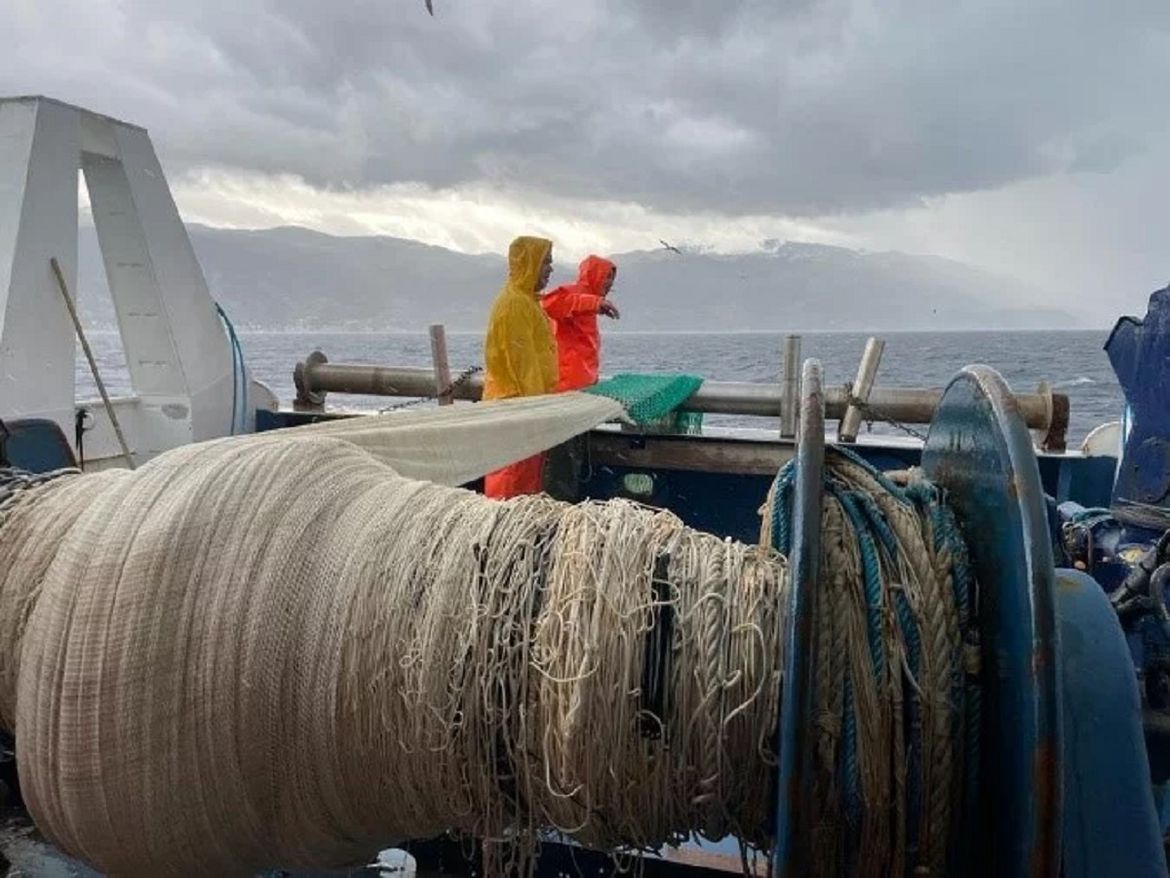 MEDIAS Hrvatski znanstvenici u novoj ekspediciji ehosondiranja hrvatskog dijela Jadrana