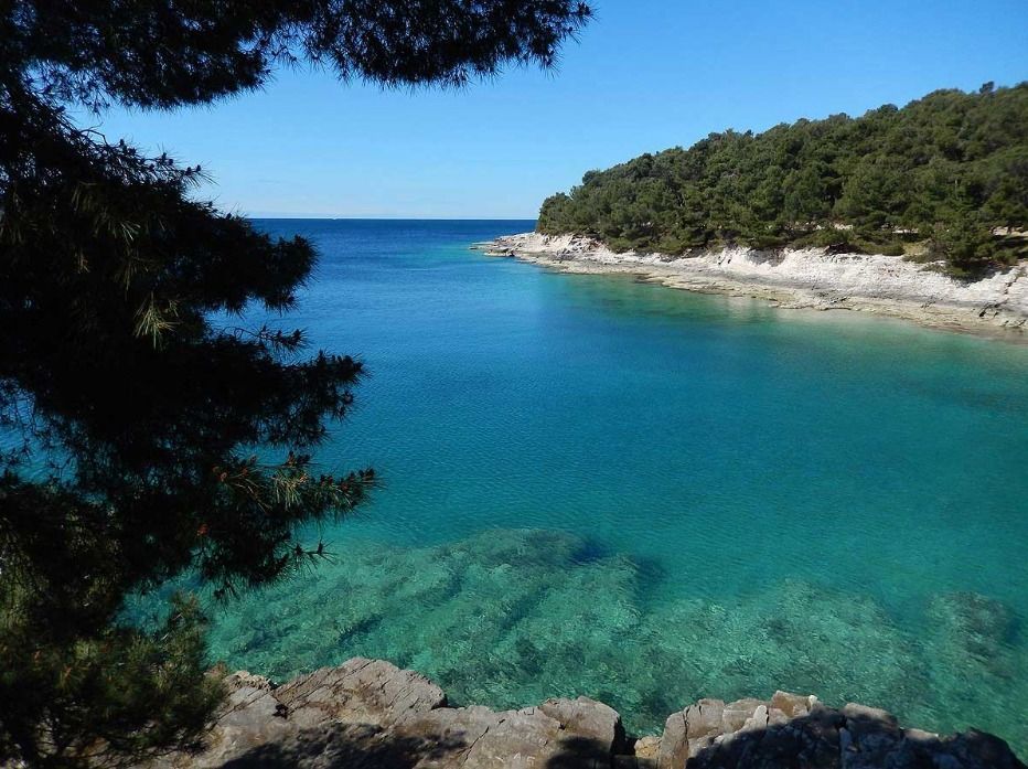 Puljani predali kaznenu prijavu DORH-u za devastaciju šume na Valkanama