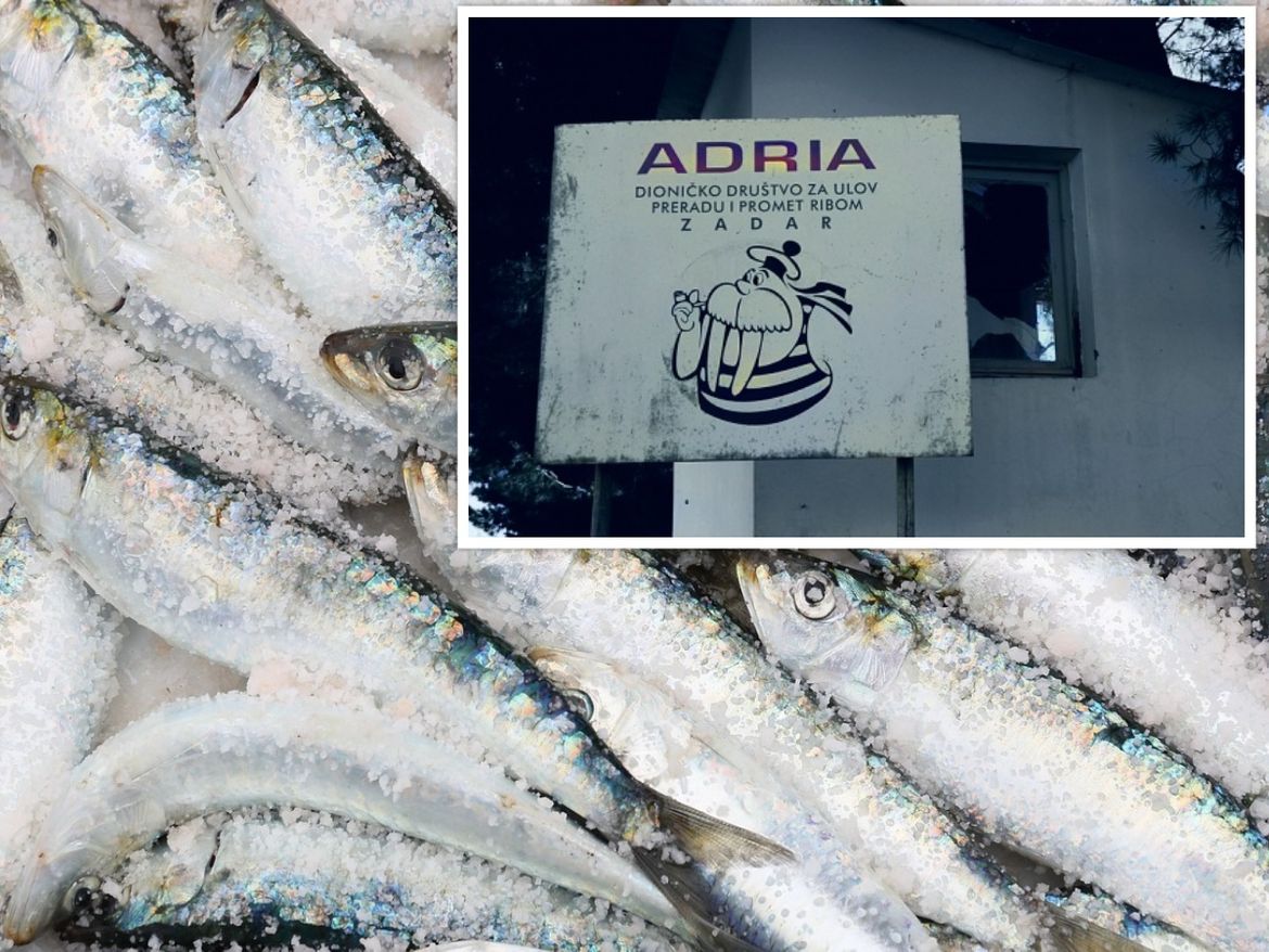 Tužan završetak nekoć moćnog riboprerađivača- Presudilo mešetarenje kreditima i zemljištem