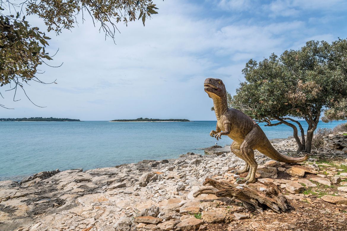 Prve otiske stopala dinosaura na Brijunima otkrio je sin tadašnjeg šumara i upravitelja otoka