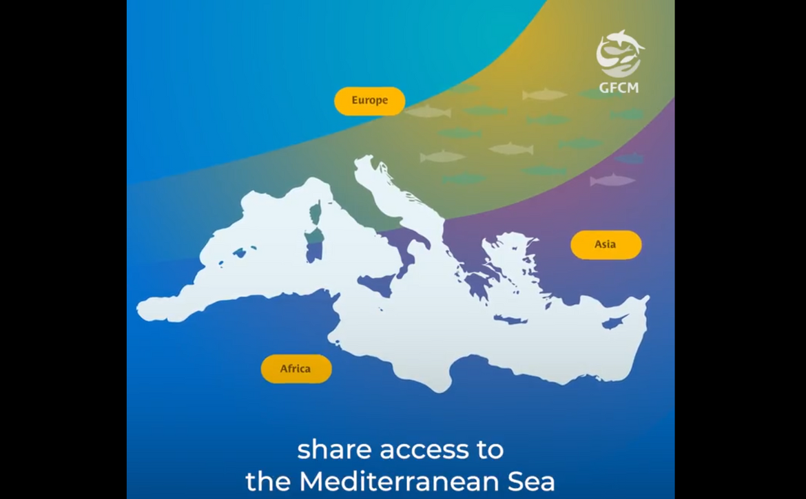 Na Malti održana konferencija 'MedFish4Ever' koju organizira Opća komisija za ribarstvo Sredozemlja