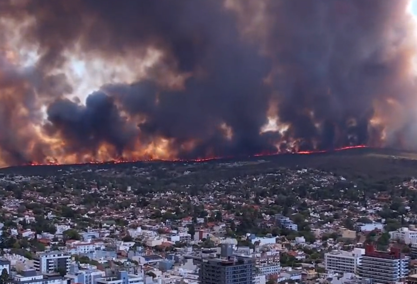 VIDEO Stotine vatrogasaca bore se protiv požara - Veliki vatreni zid približava se milijunskom gradu
