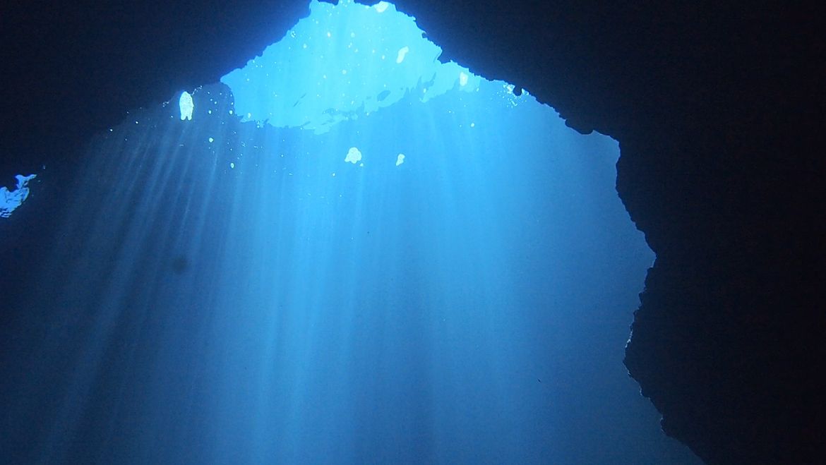 VRATILA SE SREDOZEMNA MEDVJEDICA Uočena na Korčuli, na istom mjestu gdje je boravila prije 70 godina!