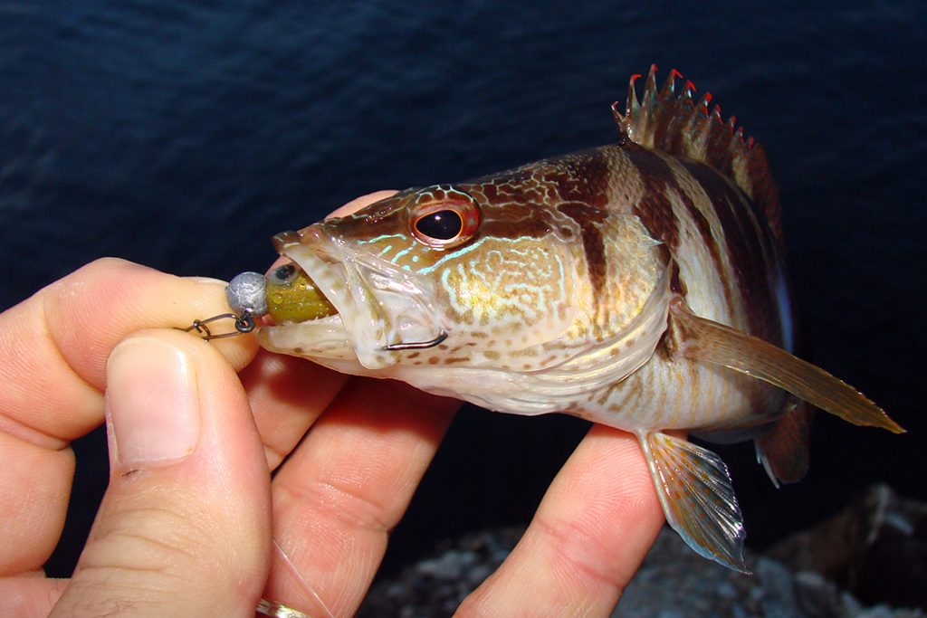 Sitna riba smetnja je mnogim ribolovcima, no uz malo kalkuliranja ovaj se problem može efikasno riješiti
