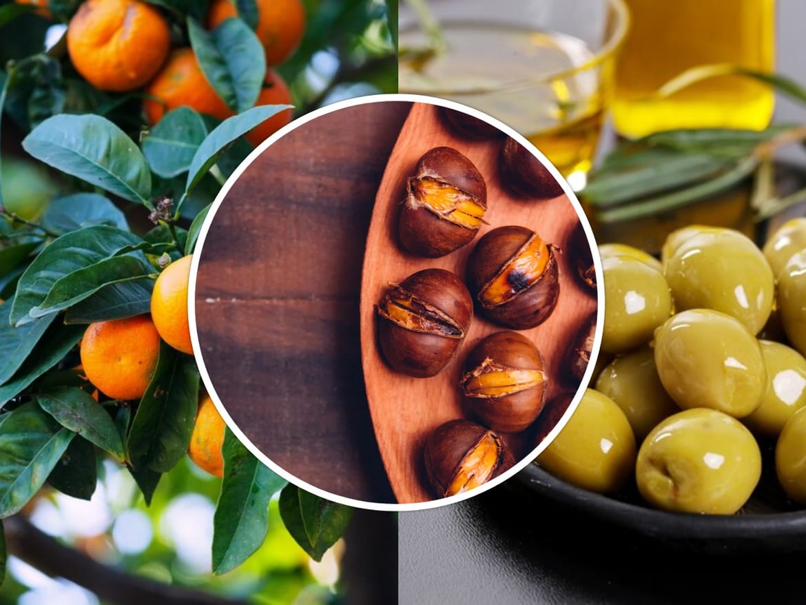 Berba jesenskih plodova, maslina, mandarina i kestena - Kako prepoznati one koji nisu tretirani štetnim sastojcima?