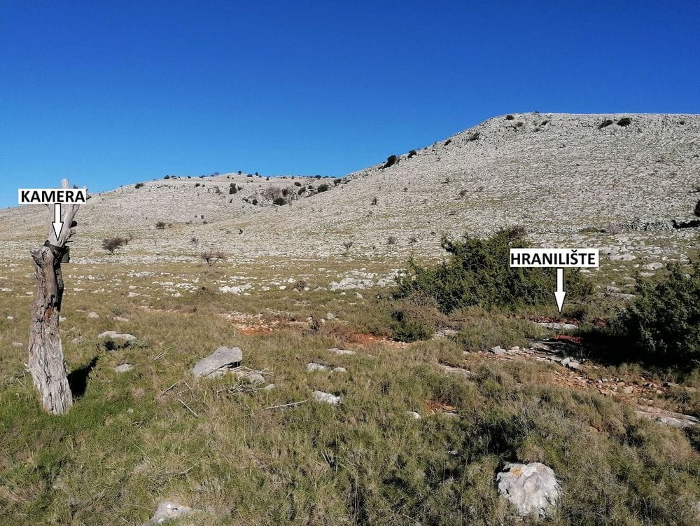 VIDEO Čagljevi stigli na Kornate