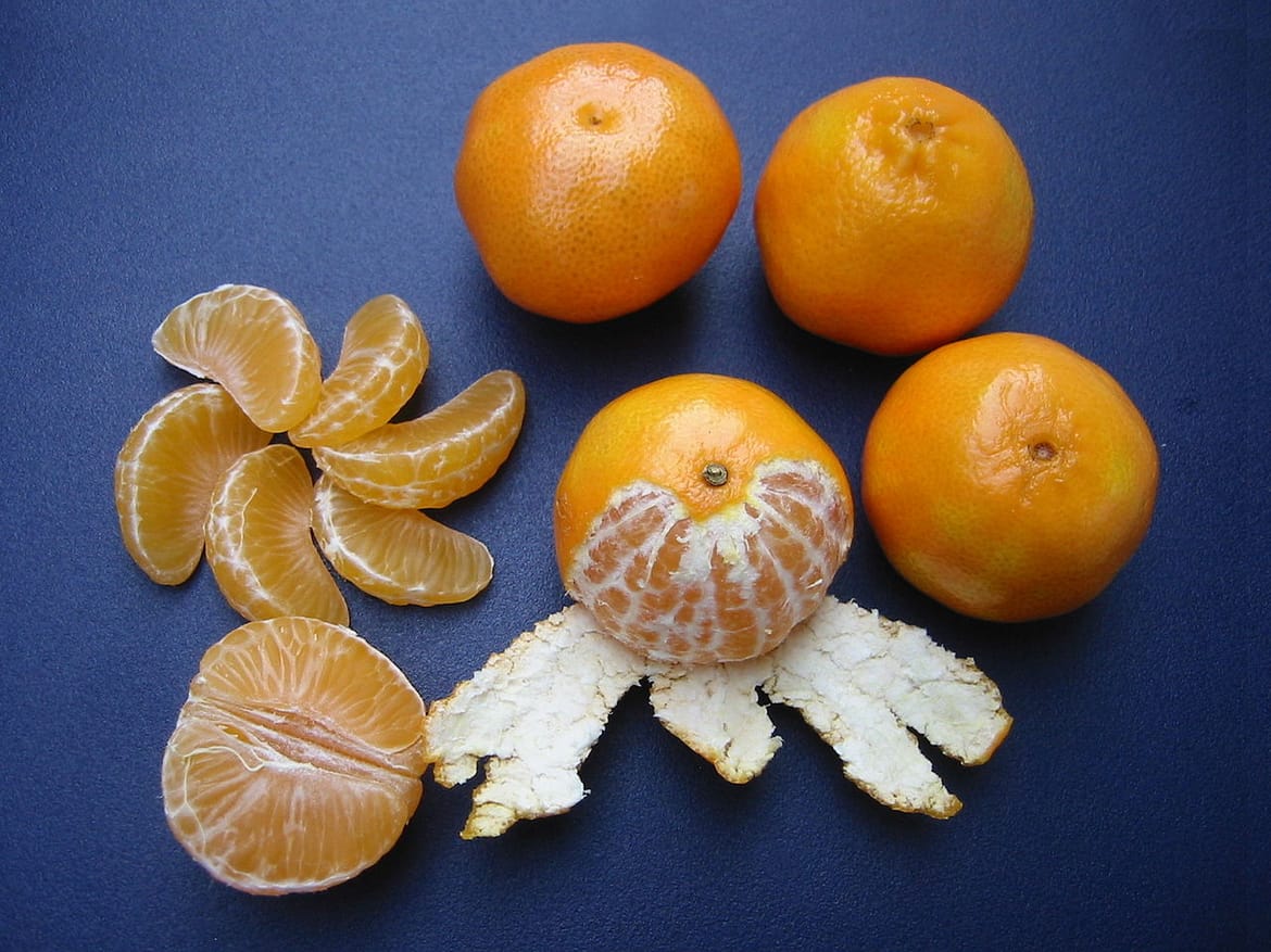 Nakon berbe mandarina, u dolini Neretve počela i berba klementina