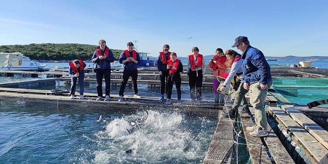 Norveški studenti učili kako se uzgajaju pastrva, hama, gof i zubatac