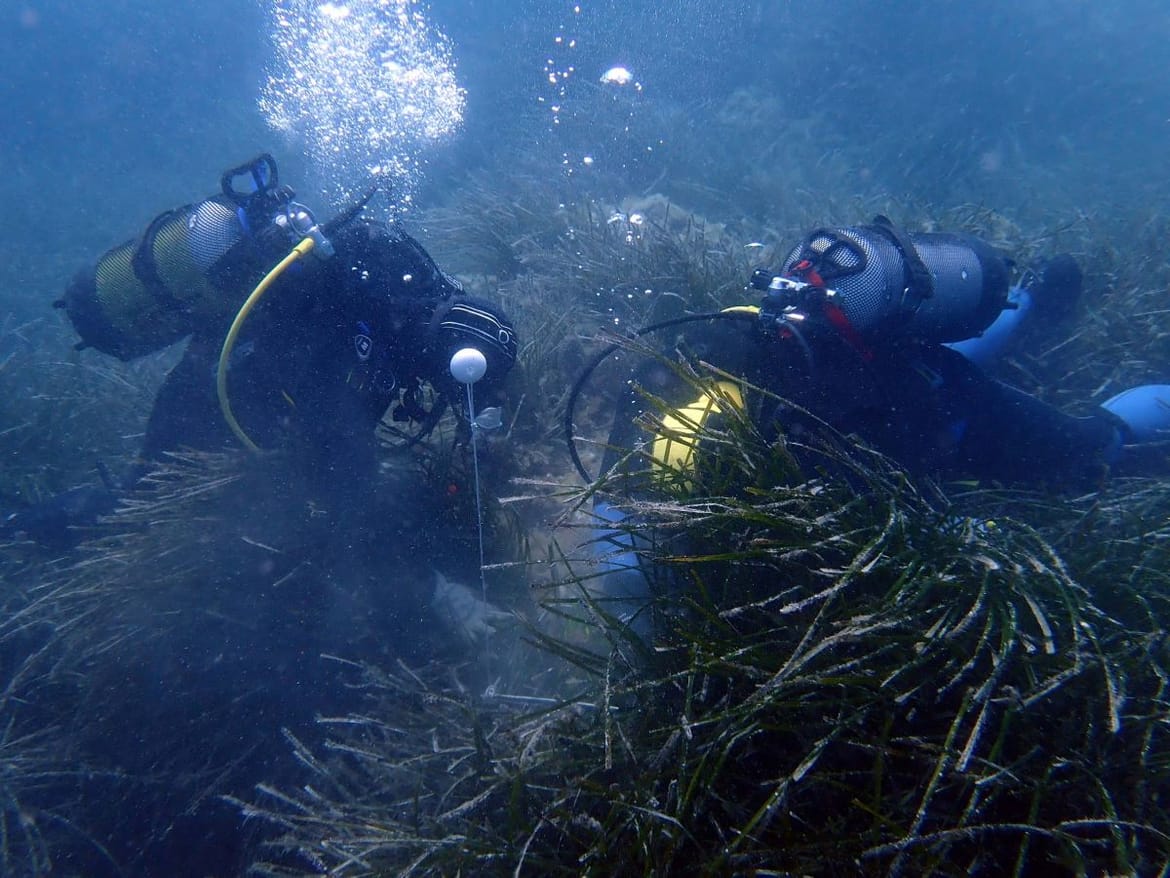 Crnogorski Institut za biologiju mora proslavio 62 godine od svog osnivanja