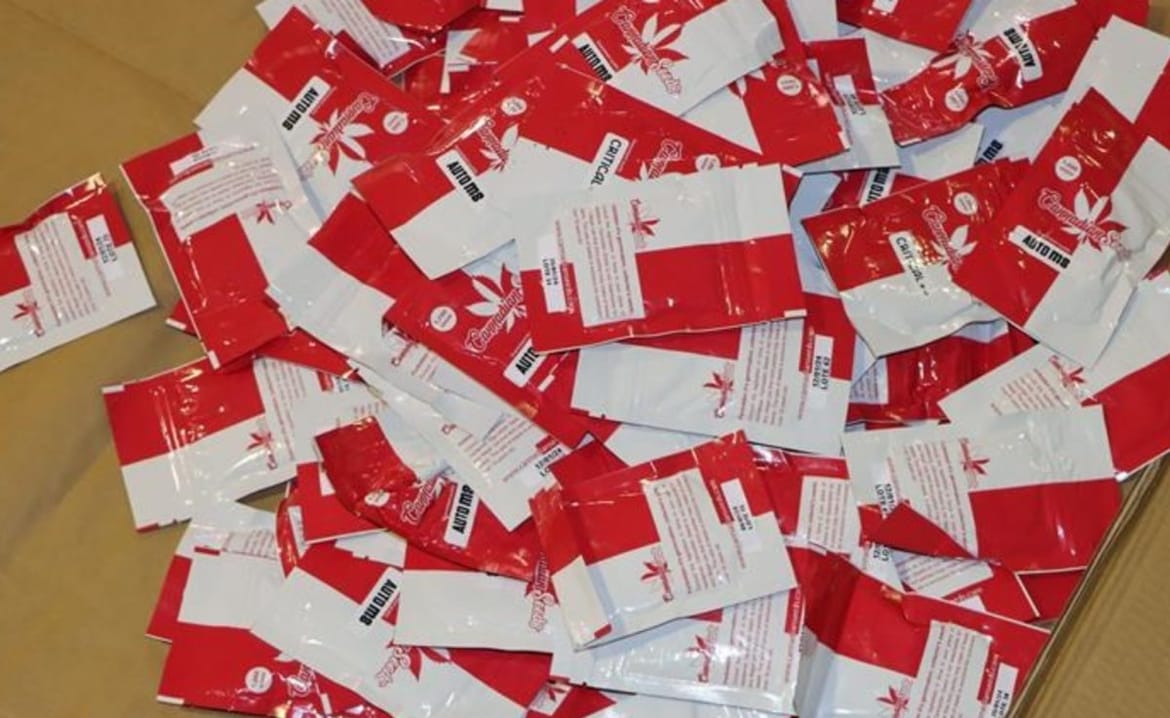 VIDEO Albanac pokušao prokrijumčariti 400 tisuća sjemenki cannabisa u Hrvatsku pa pao na graničnom prijelazu s Crnom Gorom