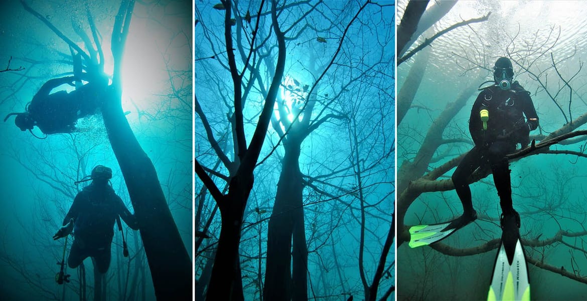 Ponikvarsko jezero, prirodni fenomen čija veza s morem možda nije očita, no ona ipak postoji!