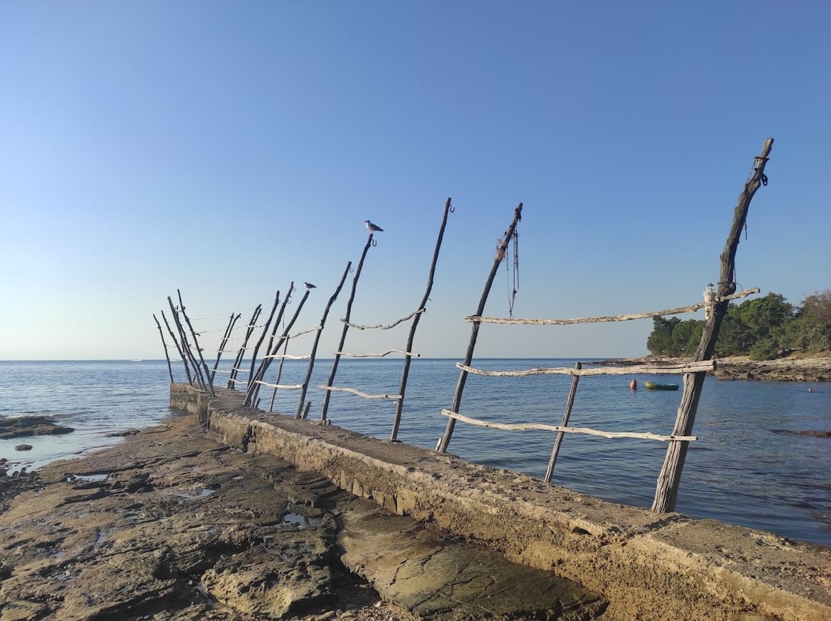 SAVUDRIJSKE GRUE Dizalice od akacija čitavo stoljeće odolijevaju nevremenu!