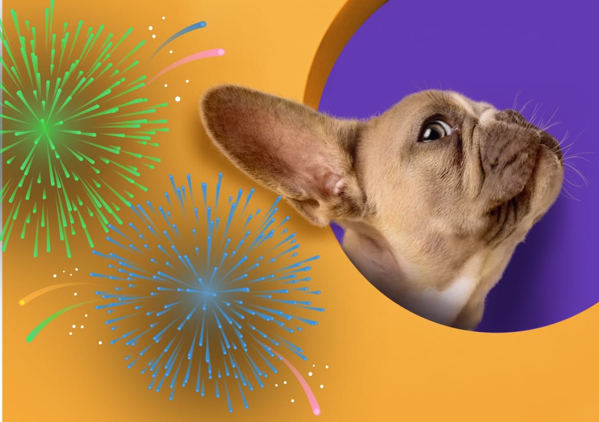 Umag u Novu Godinu ulazi uz eksploziju boja u potpunoj tišini