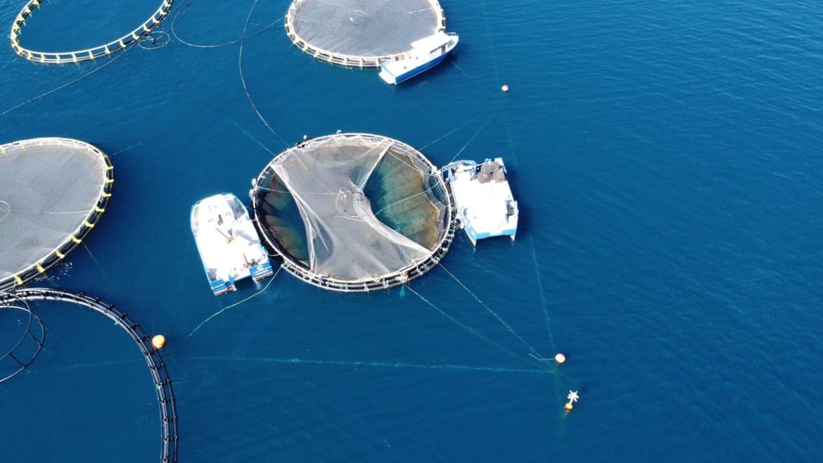 Izmijenjen Pravilnik o Organizacijama proizvođača u ribarstvu