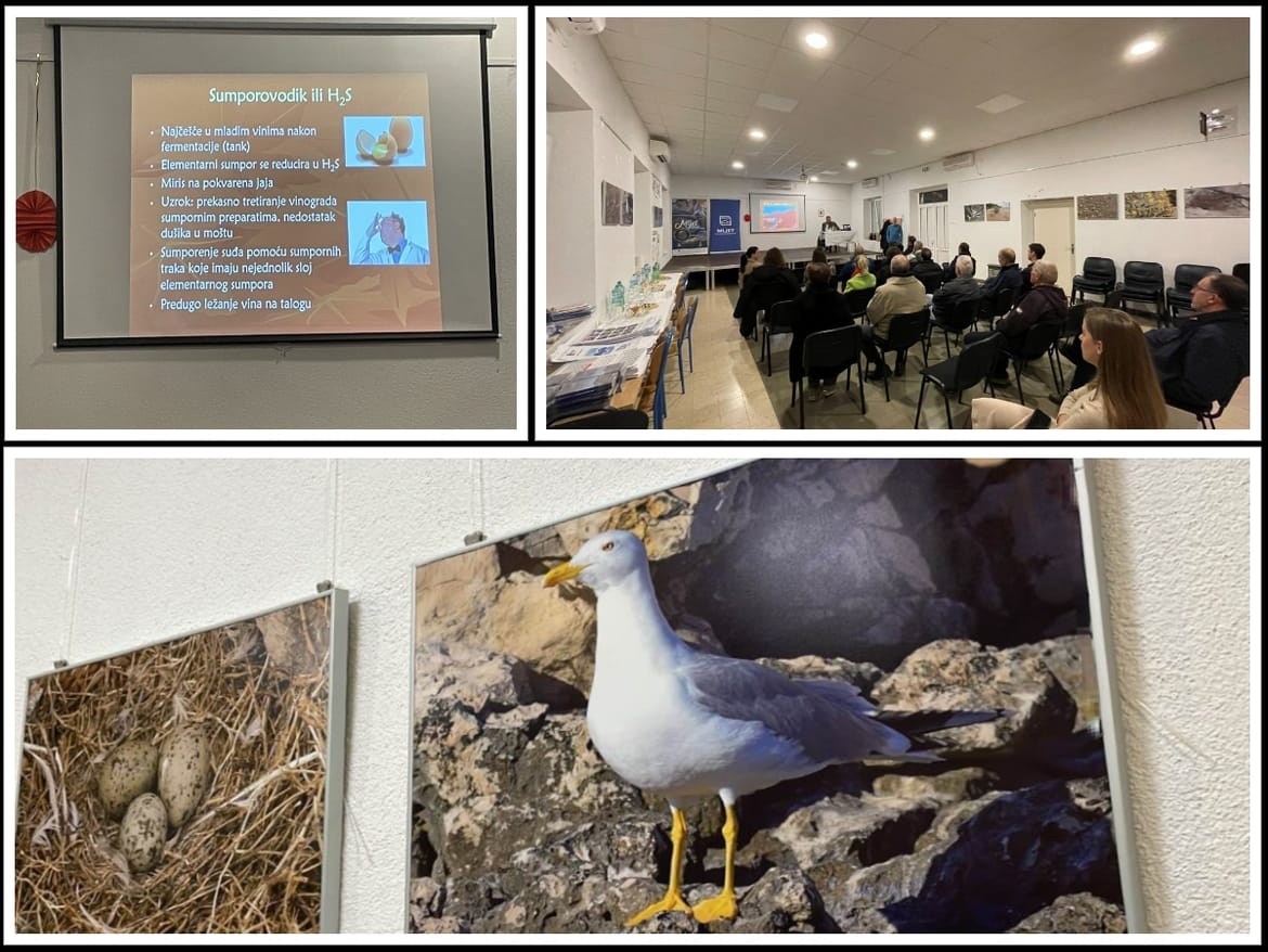 U organizaciji NP Mljeta održano edukativno kušanje mladih vina i jakih alkoholnih pića