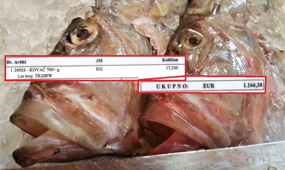 Tvrtka čije je skupe kovače zadarska ekipa nosila i jela u njujorškom restoranu: "To se ne može usporediti s uvoznim!"