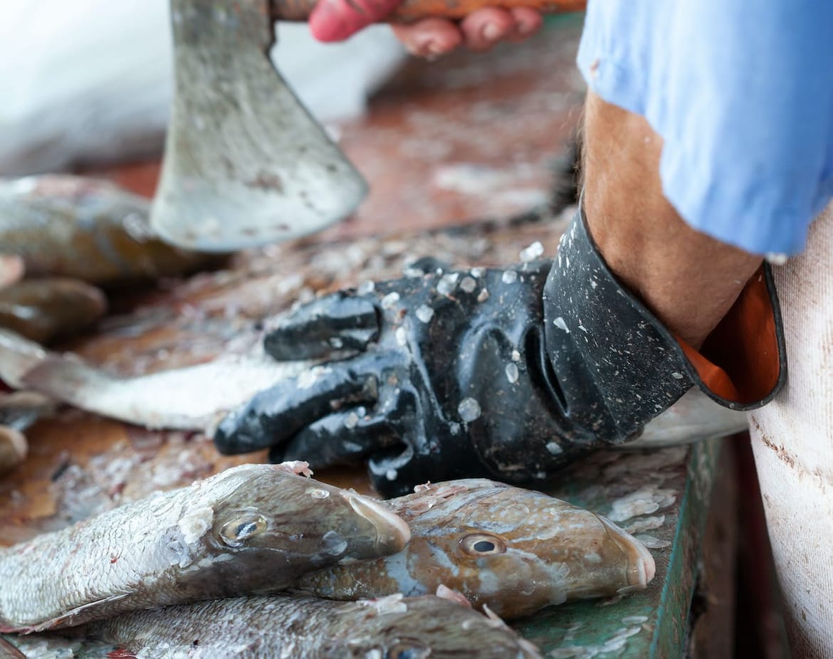 Ekonomski analitičar: "Riba iz Hrvatske u Italiji ima nižu cijenu nego kod nas"